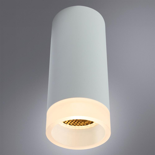 Потолочный светильник Arte Lamp Ogma A5556PL-1WH