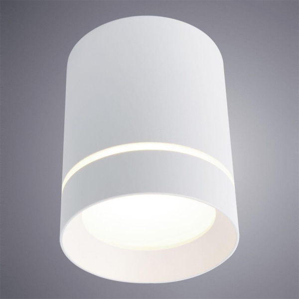 Потолочный светодиодный светильник Arte Lamp ELLE A1909PL-1WH